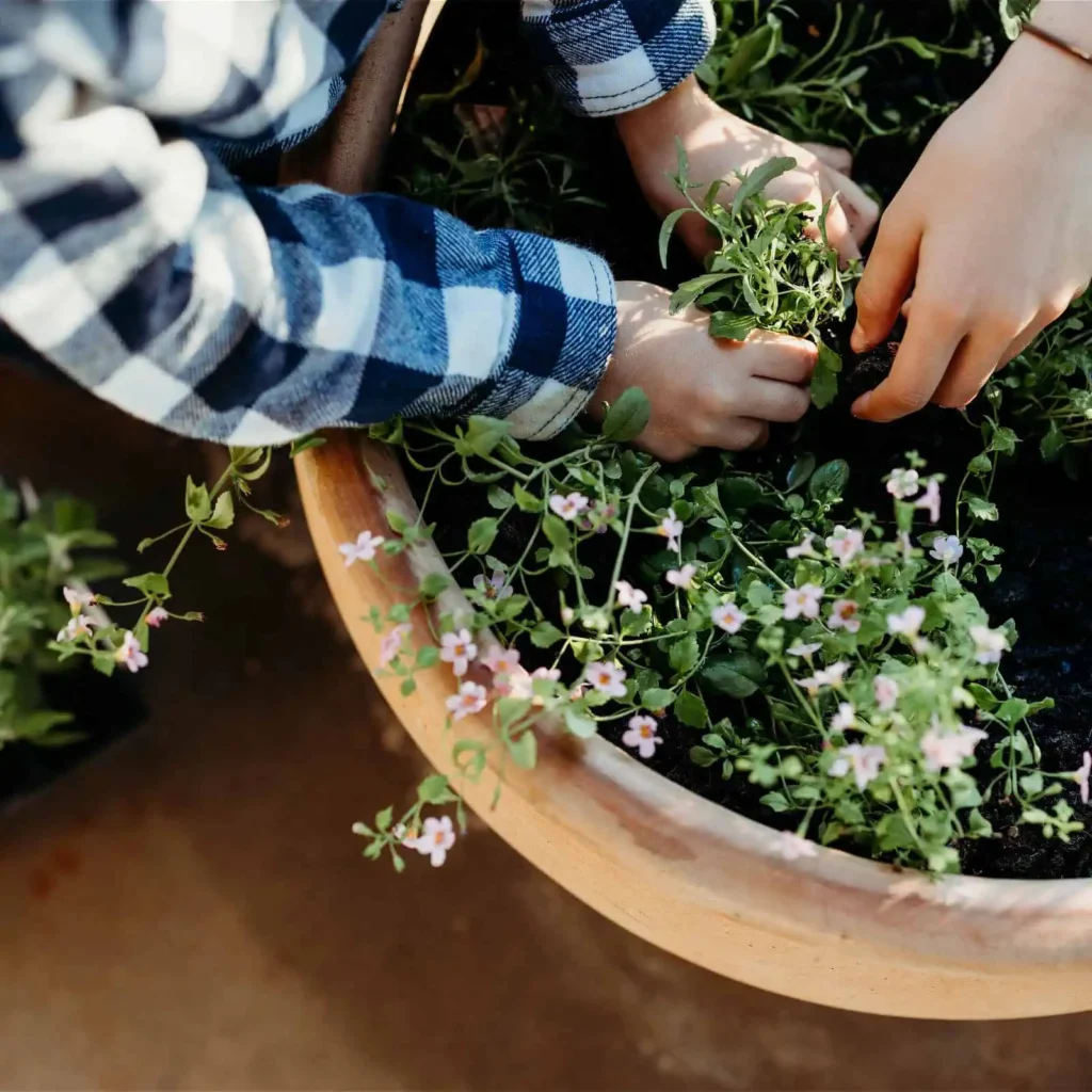 Emma Richards - planting
